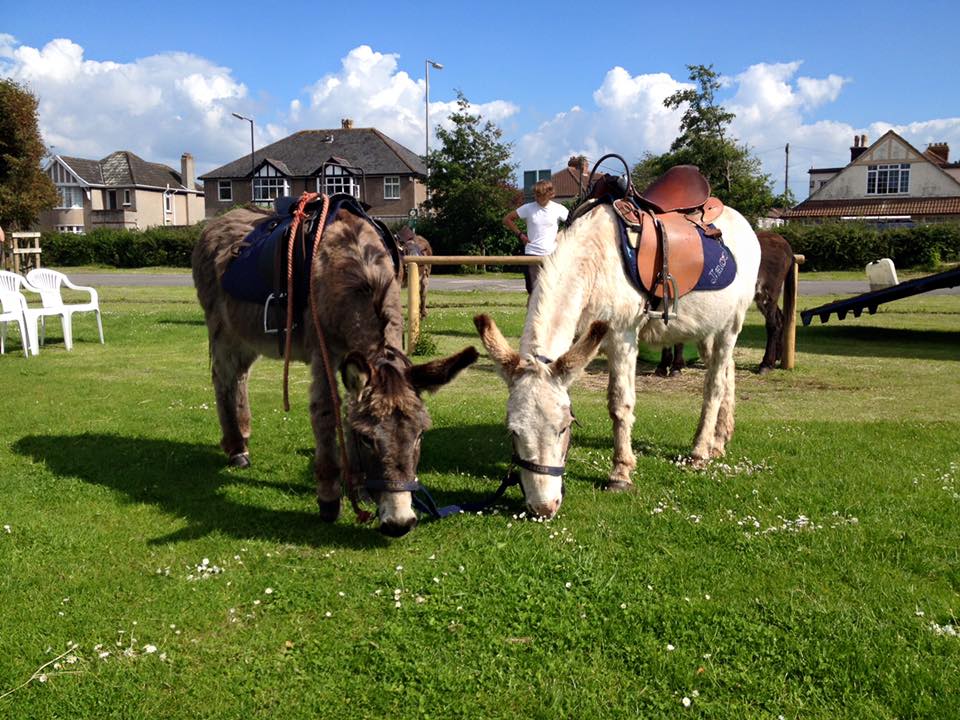 Are you looking for a cute, cuddly and ready-to-ride addition to your corporate event? Or are you just looking for a furry friend to pet? We currently have 12 donkeys, most of them being working rescue donkeys, and our beautiful creatures are available for hire at school fairs, fetes and carnivals - weather permitting. Also available at Christmas time as "Donkdeers"! If you are also hiring a bouncy castle or any other inflatable, please give us a call and we may be able to arrange a discount. Price advertised is for 3 donkeys, which will be the minimum requirement.